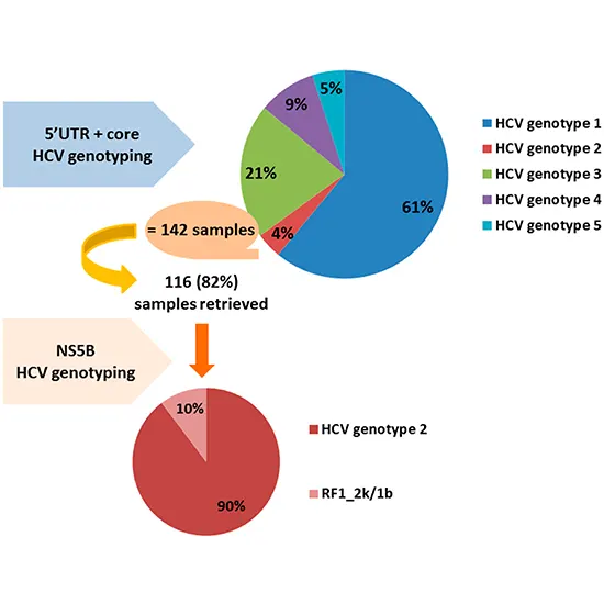 hepatitis c virus (hcv) – genotyping